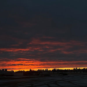 Meet your Posher, Brooklyn